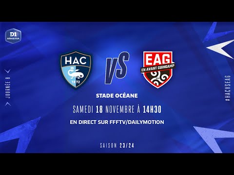 J8 I Havre AC – En Avant Guingamp (2-0), le résumé I D1 Arkema I FFF 2023-2024