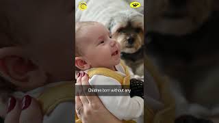 What Is Depth Perception in Babies? Milestones & Checks