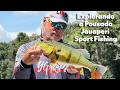 Ep 38 T2 Pescaria com iscas artificiais na Pousada Jauaperi Sport Fishing