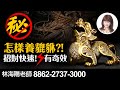 怎樣養貔貅?! 招財快速!有奇效｜林海陽｜親傳吸金招財秘法｜20210221