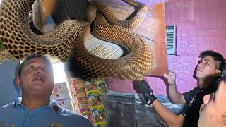 DAHIL SA MATINDING BAHA NAGPASUKAN ANG MGA COBRA SA KWARTO NG PULIS 😱