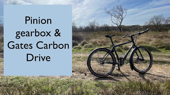 Pinion gearbox and Gates Carbon Drive. Dont get br...
