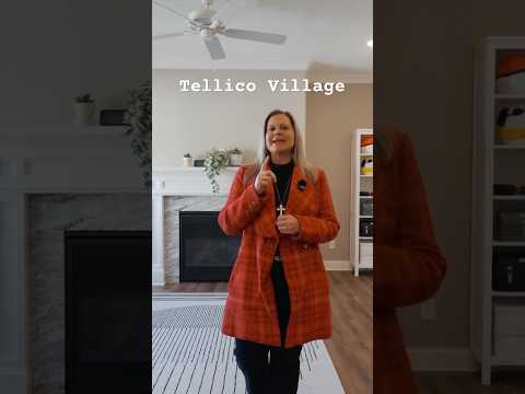 505 Chestnut Place, Loudon, TN home video tour
