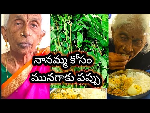 Munagaku Pappu for Grandma #how to make drumstick /munagaku Pappu || How to make Munagaku Pappu