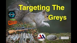 Squirrel Control With The Air Arms & Team Foxer