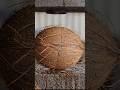 Hydraulic Press vs Coconut #reels #crush #vairalvideo #shortvideo #trending