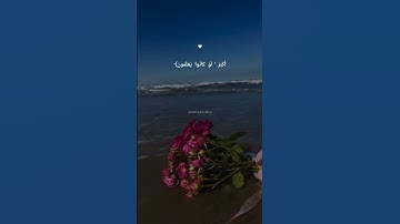 Surah Al-Qalam |سورة القلم  #ماهر_المعيقلي #اكسبلور