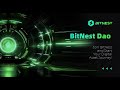 BitNest детальный обзор. Полная прозрачность платформы. Взаимодействие смарт контракта