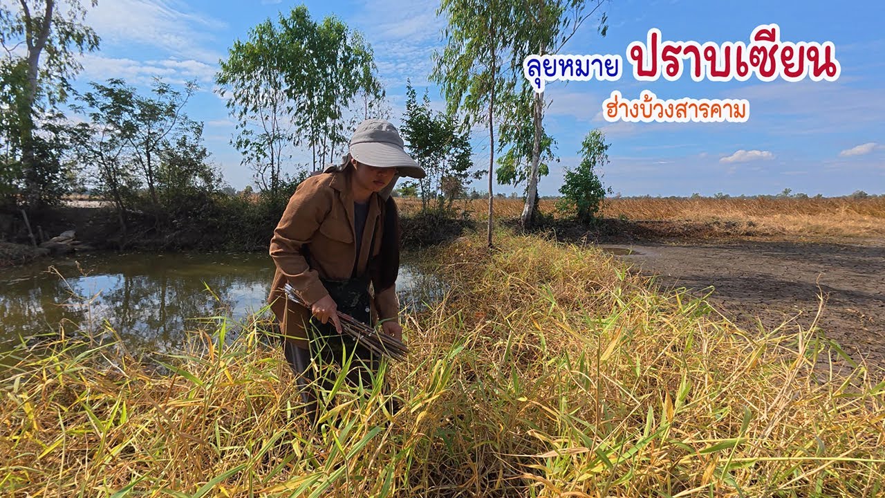 คั่วหนูน้ำบักพร้าวหมายปราบเซียน ฮ่วงบ้าวนอนทุ่งสารคาม