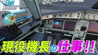 【MSFS2020】現役機長Ryuが仕事同様に路線フライト！最後は思わぬ結末が・・・　朝の羽田空港～新潟空港便