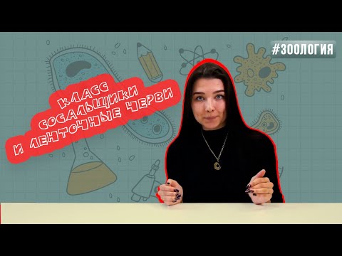 Сосальщики и Ленточные черви | Зоология #5 | ЕГЭ БИОЛОГИЯ