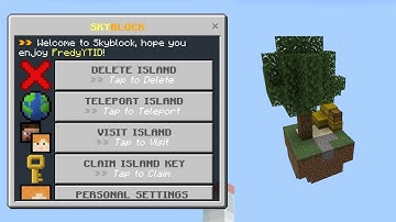 Plugin SkyBlockUI | PocketMine-MP 4 | Free Download