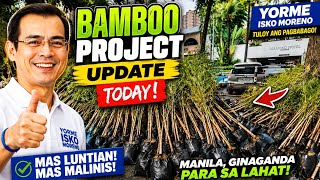 Bamboo project update today | Isko Moreno | Manila Update Today 