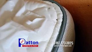 Bed Bug Exterminator Wichita, Kansas