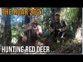 Red Deer Roar April 2021