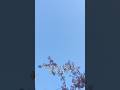 空が青い理由、知ってますか? #テクノロジー #空