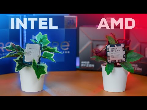 i9 13900K vs Ryzen 9 | Intel 13th Gen vs AMD Ryzen 7000 Series - 2022 | We're winning!