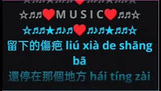 Ai Guo Le ye Shang Guo Le 爱过了也伤过了 by Su Tan Tan female karaoke