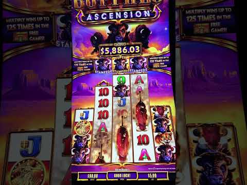 9 Masks of Fire | Casino Nights Hit Different 💰 #weekendenergy #casinolife #winningmindset #roulette #hardrockhotel