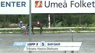 Vidéo de la course PMU COURSE 3