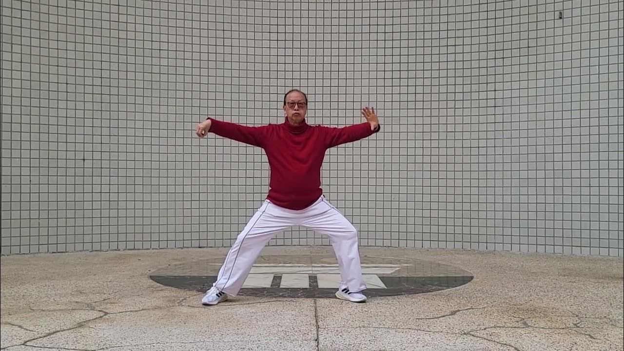 陳式太极拳短套路04 YouTube