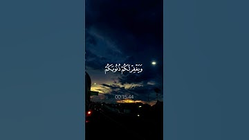 استخدموا الصوت 🖤🙂 | #راحة_نفسية #تلاوة_خاشعة #محمد_اللحيدان