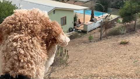 MIDI controlled Solenoids and Cigar Box Guitar