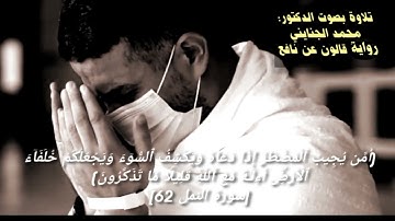 آيات مؤثرة تلاوة د. محمد عمر الجنايني ❤
