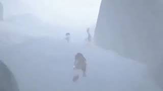 WE SHOULD BE SAFE HERE Information