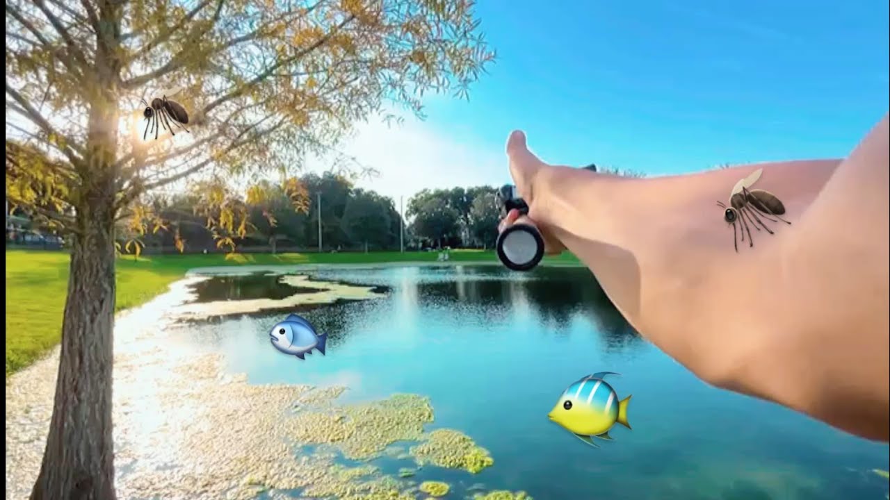 URBAN BASS FISHING!!!