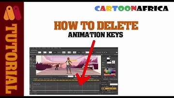 How to Delete key frame from the animation