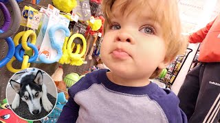 Buying Our Puppy Anything Our Toddler Touches! *BIRTHDAY EDITION*