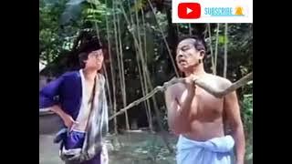 Pak cik tua pikul kayu berat