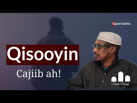 Qisooyin cajiib ah! Neefkii geela uu ku guursan lahaa ayaa laga qashay! || Sheekh Mustafe Xaaji