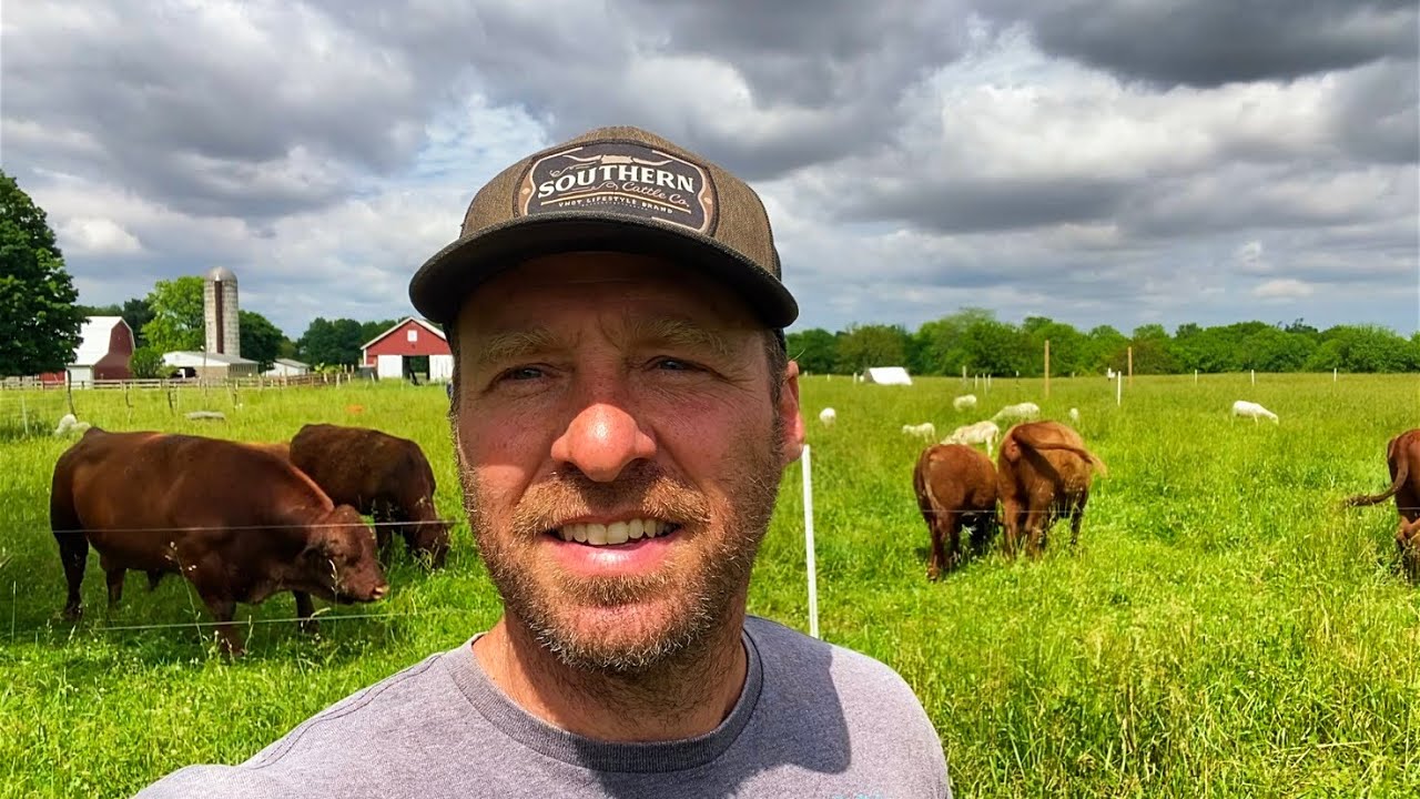 Multi-Species Rotational Grazing | “Should I Mow Behind Animals in the Rotation?” 