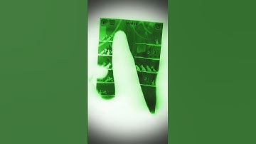 Bird sort game video