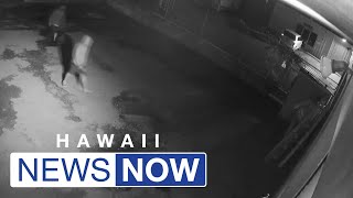 Suspects sought after burglary at Halawa business is caught on camera