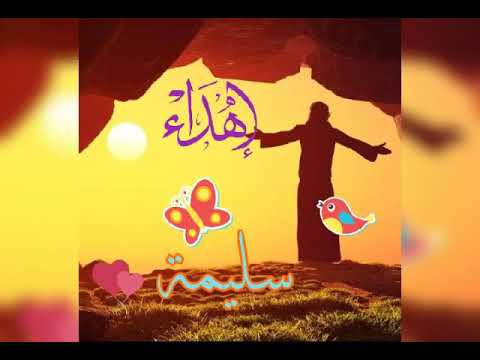 شيلة سليمة ستوري