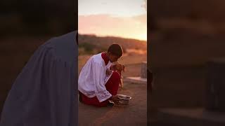 DIOS NO SE OLVIDO DE ELLA #dogshorts #animals #videoshort #videodogs