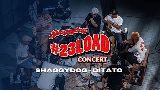 Video thumbnail of "#23LOADCONCERT | SHAGGYDOG - DITATO [LIVE ACOUSTIC]"