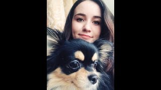 Покупки с сайта AliExpress для животных Покупки с сайта AliExpress для животных