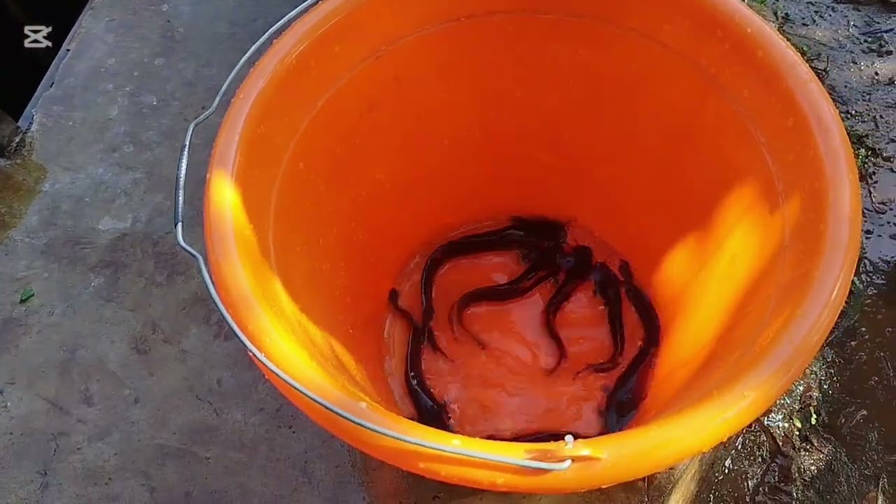 Bad Weather || Working On The Rains🌧️🌧️🌧️