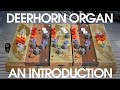 Ciat-Lonbarde Deerhorn Organ - An Introduction