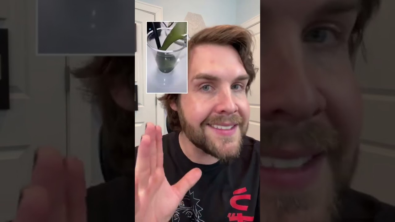 make sure that you’re eating enough food, even if you’re on a weight loss journey! 