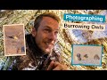 Photographing Burrowing Owls in the Desert. Finally getting the images I&#39;ve been dreaming about