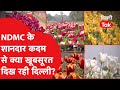 TULIP GARDEN: NDMC के शानदार कदम से क्या खूबसूरत दिख रही दिल्ली? |DilliTak|