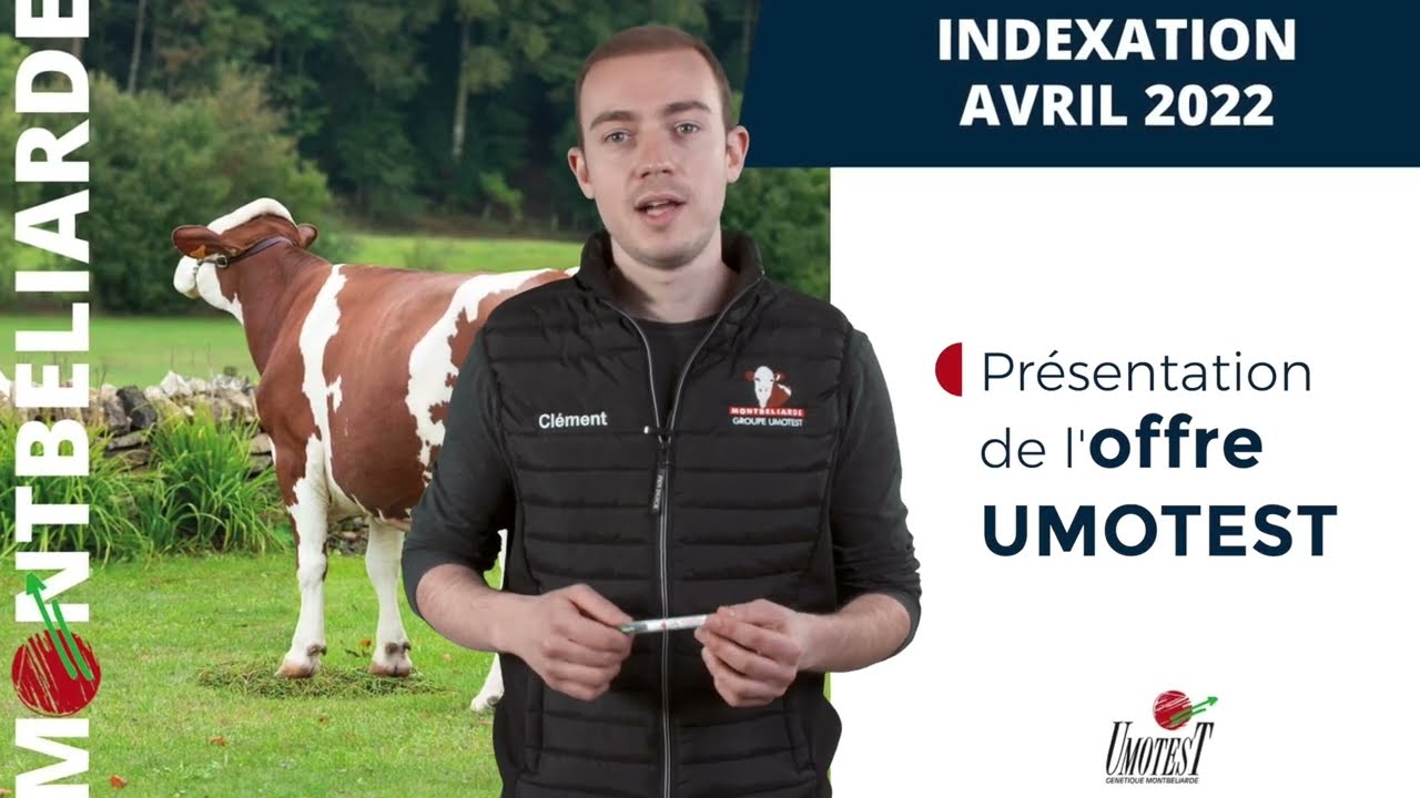 Indexation d'avril 2022 - présentation de l'offre taureaux montbéliards Umotest