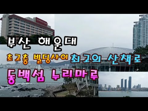 부산 해운대 초고층 아파트/동백섬/부산 최고의 산책로/누리마루 APEC 하우스ㅣ부산의명물 Busan/The bay/APEC House 🚢🚤