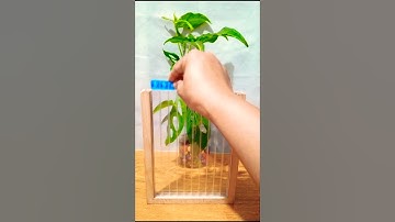 No.53 PLAYING TETRIS BLOCK PUZZLE GAMES #viral #satisfaying#trending #shorts#asmr#tetrisgame