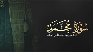 تلاوة سورة محمد للقارئ أنس بن صالح المالك من ليالي رمضان لعام ١٤٤٤